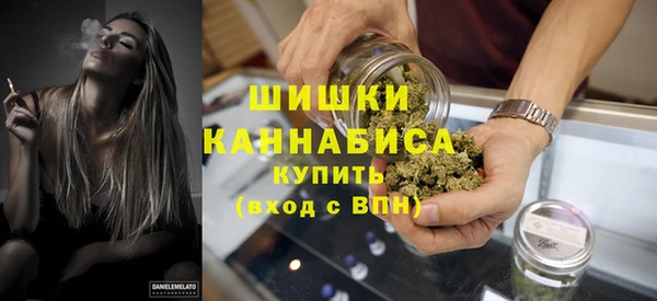2c-b Инта
