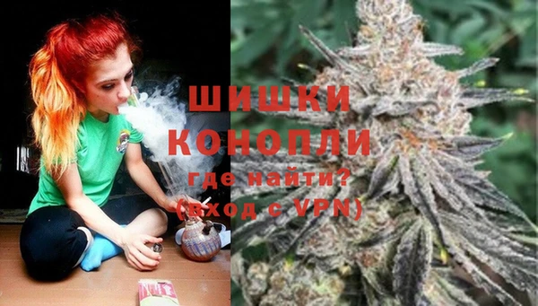 амф Пестово