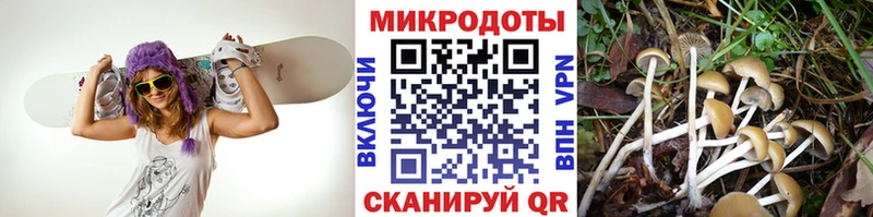 Галлюциногенные грибы ЛСД  Купить закладки  Жиздра 